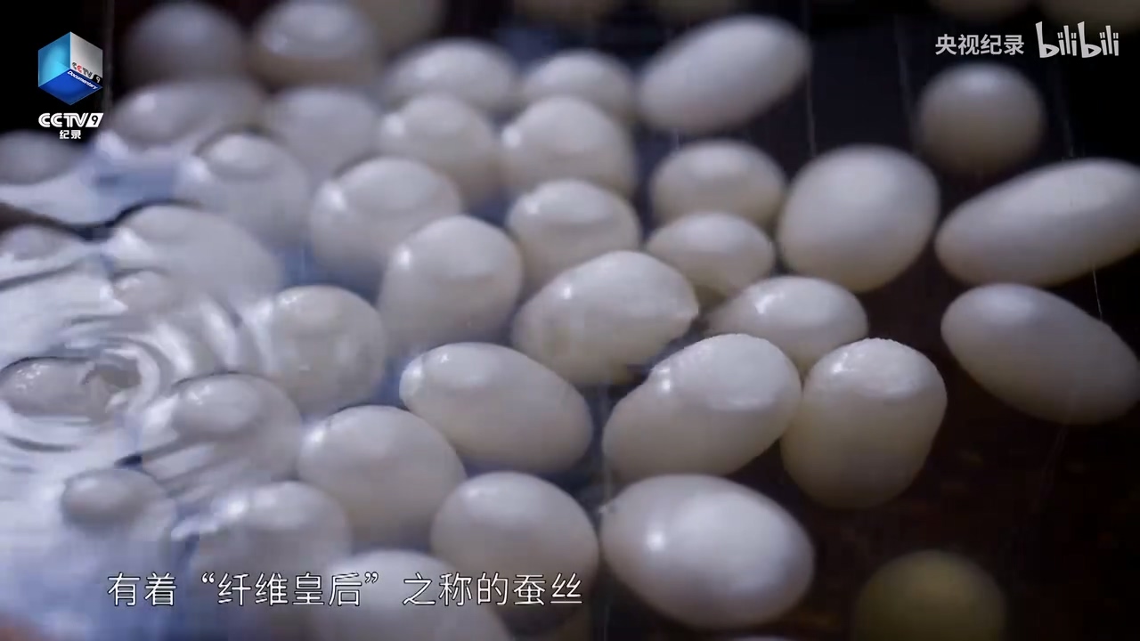 為何蠶絲制作的五星紅旗能登上月球？.mp4_20250529_151703.054.jpg