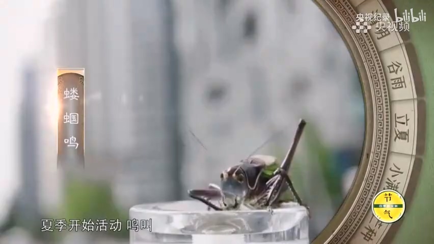 為何古人認為立夏三候與陰陽轉換有關？.mp4_20250529_151747.653.jpg